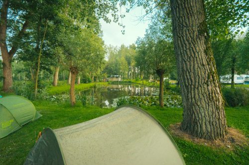 Tent kampren op Camping Groeneveld in het groen aan onze visvijver