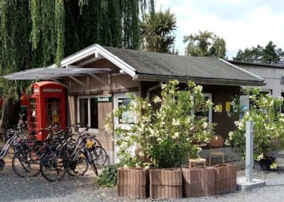 Ambiance - réception - bibliothèque - location de vélos